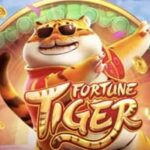 fortune tiger slot